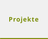 Projekte